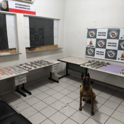 Com apoio do cão Seth e efetivo reforçado, PM localiza milhares de porções na zona oeste