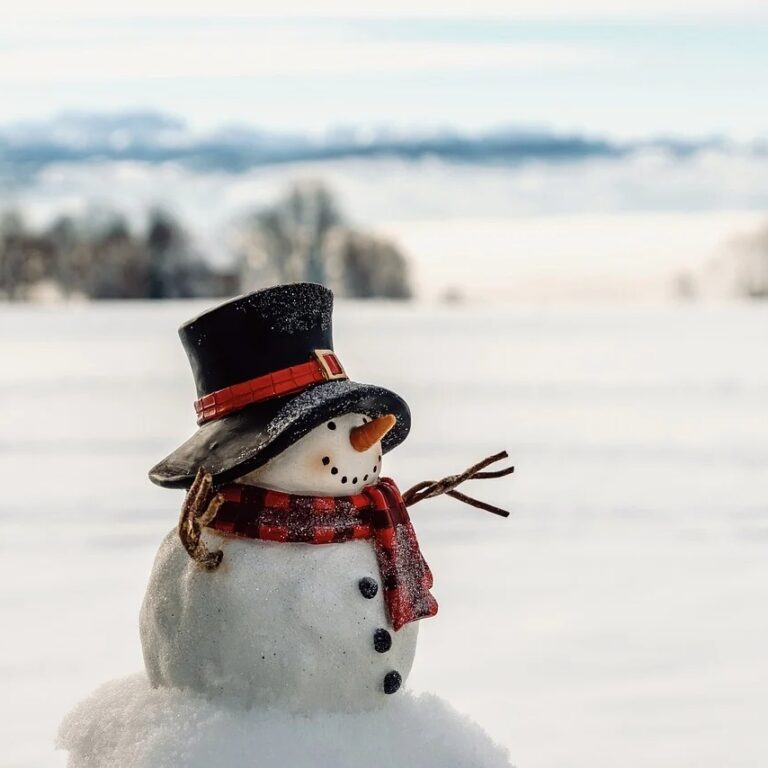 A parábola do boneco de neve