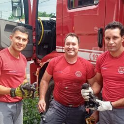 Bombeiros resgataram filhotes de gato presos em saída de água