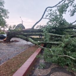 Tempestade provoca estragos e resulta em tragédia na região