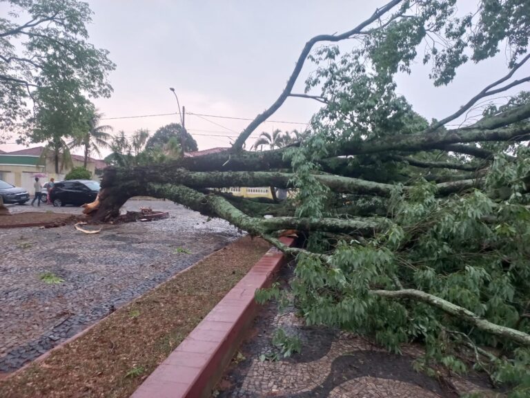 Tempestade provoca estragos e resulta em tragédia na região