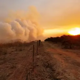 Sobe para 17 o número de cidades com focos de incêndio em São Paulo