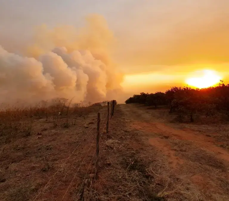 Sobe para 17 o número de cidades com focos de incêndio em São Paulo