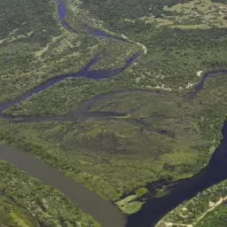 Maior parte da Mata Atlântica tem menos de 30% de vegetação nativa