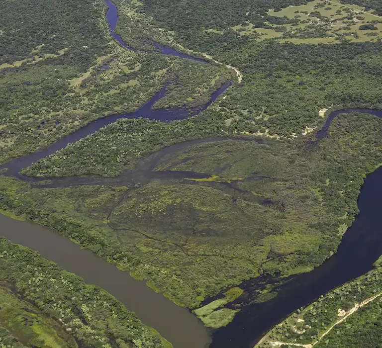 Maior parte da Mata Atlântica tem menos de 30% de vegetação nativa