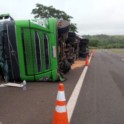 Carreta carregada com frango congelado tomba e fere motorista na SP-333