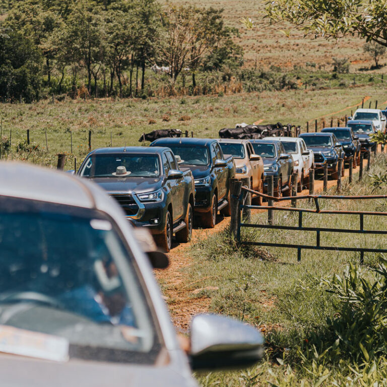 2ª Hilux Expedition reúne 50 pick-ups e 150 participantes de Marília e região