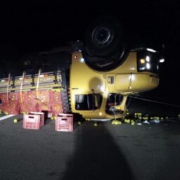 Caminhão com oito toneladas de frutas tomba na SP-333 e deixa prejuízos