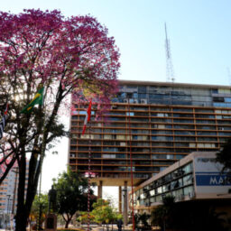 Servidores, aposentados e pensionistas começam a receber cesta natalina dia 10