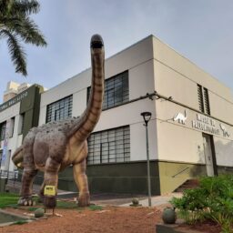 Museu de Paleontologia completa 20 anos com visitação de até três mil pessoas por mês