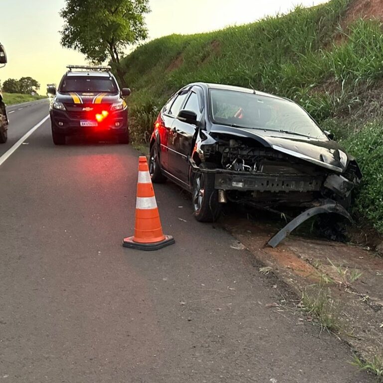 Cavalo solto provoca acidente; animal foi parar no teto do carro