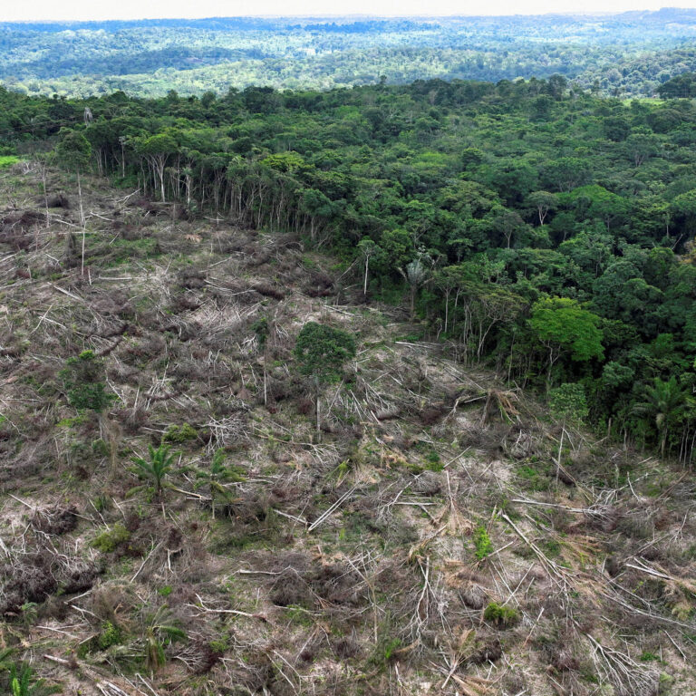 BNDES aprova valor recorde de R$ 7,3 bilhões com Fundo Clima para mudanças climáticas