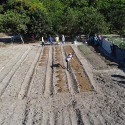 Garça promove curso para manejo alternativo de pragas e doenças neste mês