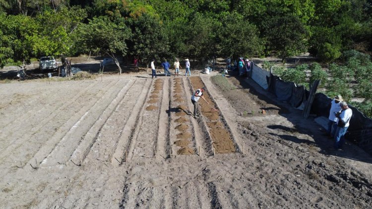 Garça promove curso para manejo alternativo de pragas e doenças neste mês