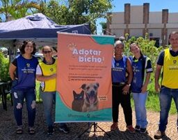 Concessionária realiza última feira de adoção do ano de animais resgatados nas rodovias