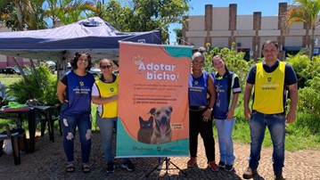 Concessionária realiza última feira de adoção do ano de animais resgatados nas rodovias