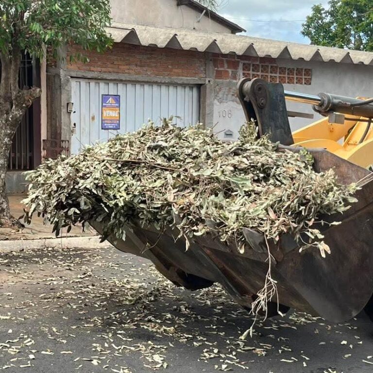 Pompeia intensifica limpeza das ruas e coleta de galhos neste fim de ano