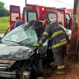 Colisão de carro em árvore deixa homem gravemente ferido