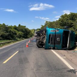 Caminhão carregado com madeira tomba na Transbrasiliana e exige manobra