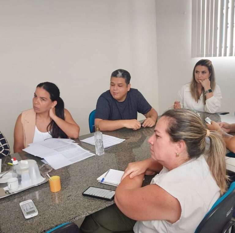 Comitê se reúne para planejar combate ao aedes aegypti