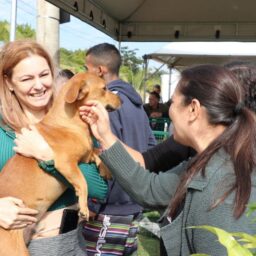 Feira de adoção de animais é realizada nesta quarta-feira em Marília
