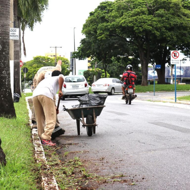 Prefeitura dá início a serviços de capinação, poda e limpeza na zona leste