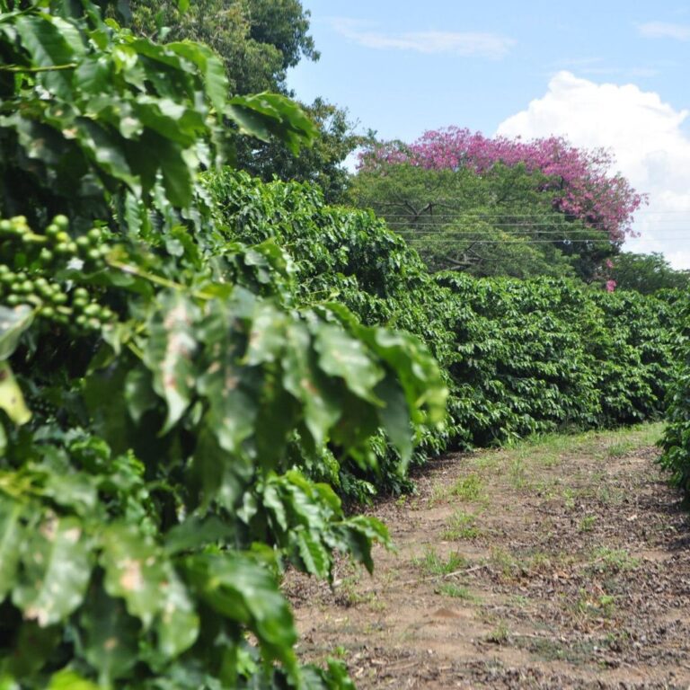 Marília é destaque em pesquisa estadual sobre percepção do turismo
