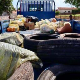 Operação Cata-Treco no Jardim Planalto é iniciada nesta segunda-feira