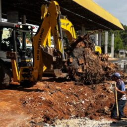 Reforma do Terminal Urbano interdita avenida Brasil e prevê melhorias até março