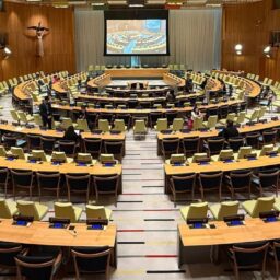 Unimar participa de evento na ONU e reforça protagonismo na defesa da natureza