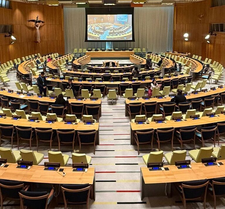 Unimar participa de evento na ONU e reforça protagonismo na defesa da natureza