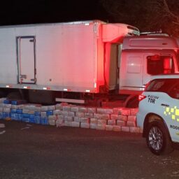 Polícia apreende quase 2,5 ton de maconha em carga de suínos
