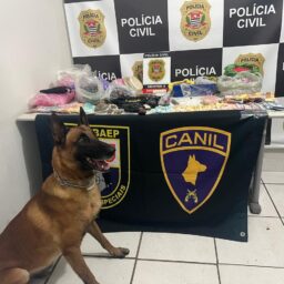 Pai e filho são presos por tráfico e posse de armas na zona norte de Marília