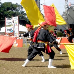 Festa da Cerejeira perde organizador a menos de um mês do evento