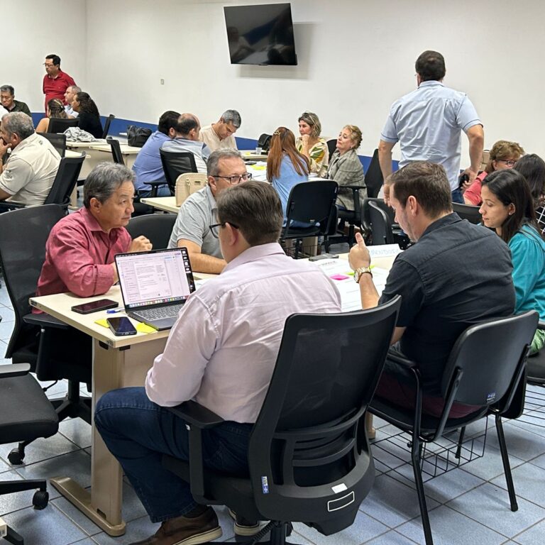 Sebrae em Marília inicia criação de novas cadeias de produção Local