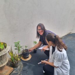 Prefeitura e Unimar realizam mais uma ação de bloqueio e remoção da dengue