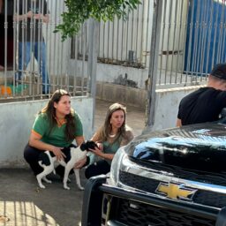 Crueldade filmada em cemitério leva à operação de resgate a animal