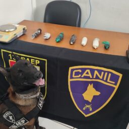 Busca em Garça termina com a prisão de mulheres com haxixe em ônibus