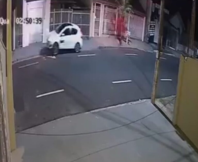 Vídeo mostra momento em que carro invade calçada e derruba lixeira na zona norte