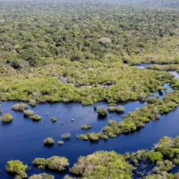 Desmatamento no Brasil caiu 32,4% em 2024, aponta levantamento do Mapbiomas