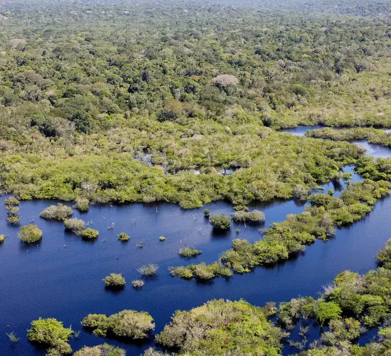 Desmatamento no Brasil caiu 32,4% em 2024, aponta levantamento do Mapbiomas