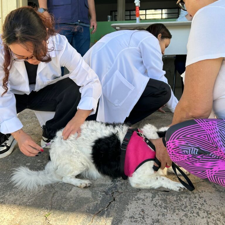 Dados mostram mudanças no perfil de doenças em Marília