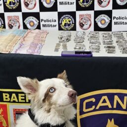 Ação conjunta prende suspeito de tráfico, recolhe drogas e dinheiro na Vila Barros