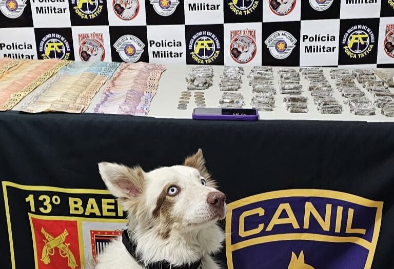 Ação conjunta prende suspeito de tráfico, recolhe drogas e dinheiro na Vila Barros