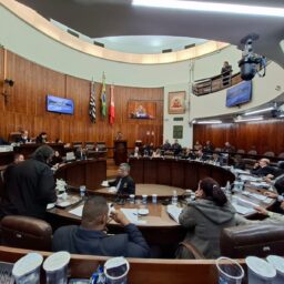 Câmara vota idade de carros de app, doação de órgãos e ‘adultização’