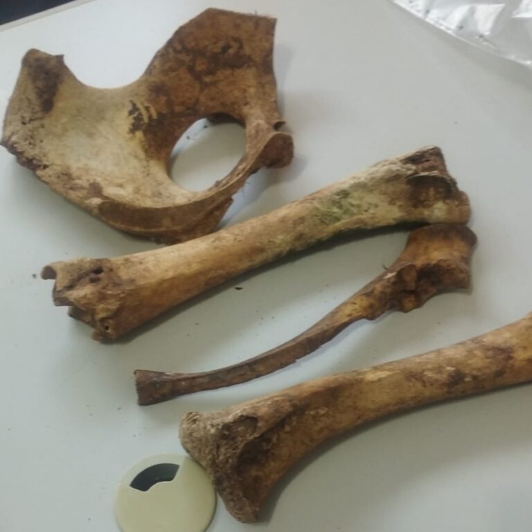 Polícia Civil investiga ossada encontrada por grupo de Marília em área de serra em Ocauçu