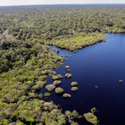 Fundo Amazônia bate recorde ao destinar mais de R$ 1 bilhão em 2025