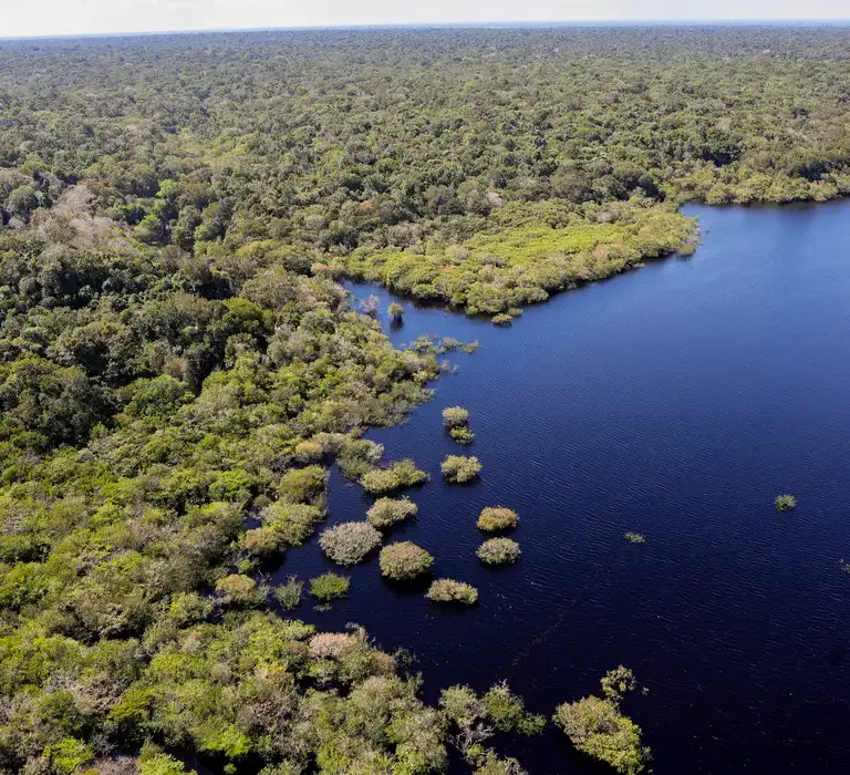Fundo Amazônia bate recorde ao destinar mais de R$ 1 bilhão em 2025