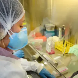 USP: pesquisa de vacina contra zika avança em testes com camundongos