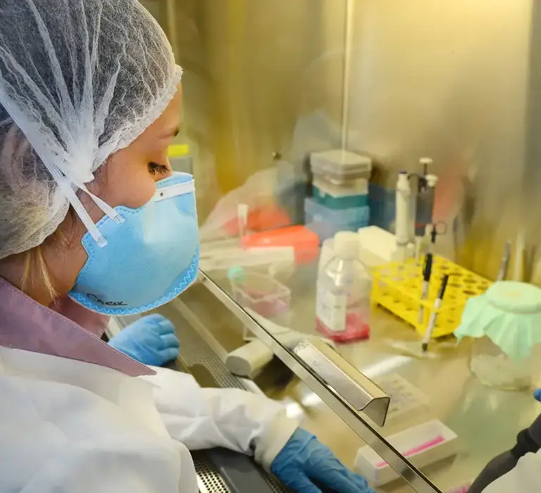 USP: pesquisa de vacina contra zika avança em testes com camundongos